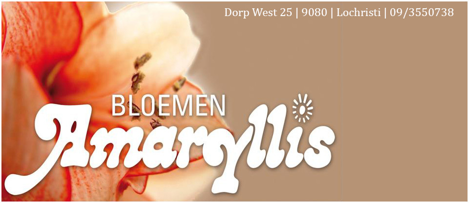 Bloemen Amaryllis
