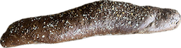 Stokbrood woudkoren