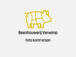 OUD BRUGGE KAAS
