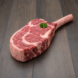 Tomahawk Holstein
