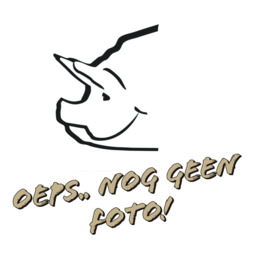 Butchers paté (met groene peper)