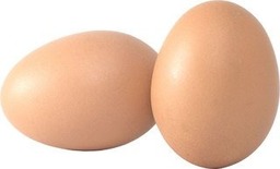 15 Eieren van eigen Boerderij BIO