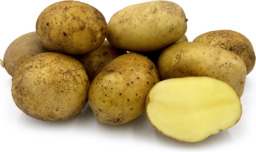 Agria aardappelen (kruimige aard)