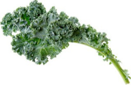  Boerenkool  BIO