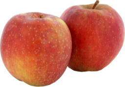 Boskoop appel Warmonderhof BIO