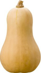 Butternut Pompoen  BIO +/- 1000-1200 gram Butternut Pompoen  BIO +/- 1000-1200 gram