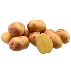 Carolus aardappelen