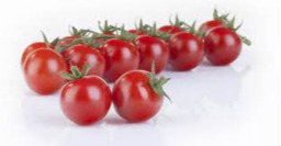 Cherry tomaat 