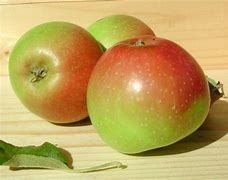 appels Collina uit Nederland (Warmonderhof)