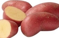 Krieltjes rood  BIO