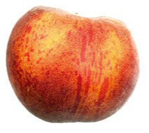 Nectarines +/- 500 gram BIO
