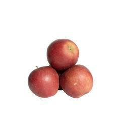 Nr 251 appels BIO