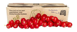 Rode bessen 150 gram Rode bessen 150 gram