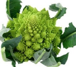 Romanesco 1 st BIO Romanesco 1 st BIO