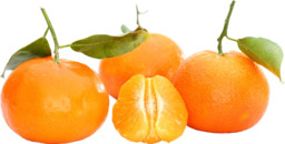 Satsuma mandarijnen Nieuw 