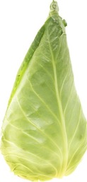 Spitskool 1 st BIO Spitskool 1 st BIO