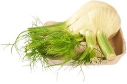 Venkel 450 gram BIO Venkel 450 gram BIO