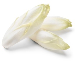 Witlof 500 gr ( ca 4 stronkjes ) BIO Witlof 500 gr ( ca 4 stronkjes ) BIO