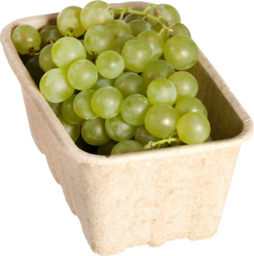 Witte druiven 500 gram BIO