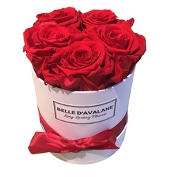 5 rode eternal rozen in een  witte flowerbox 