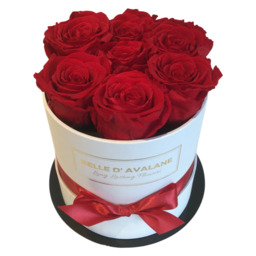7 rode eternal rozen in een  witte flowerbox 