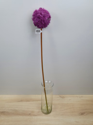 Allium l80cm violet