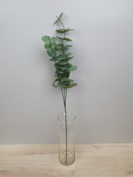 Eucalyptus l78cm groen