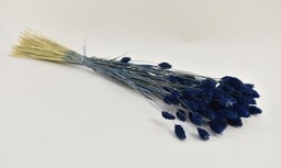 Gedroogd Phalaris blauw bos 80gr 60cm
