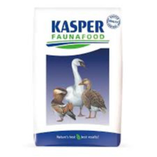 Kasper anseres 2 opfokkorrel/show (6 - 12 wkn.)