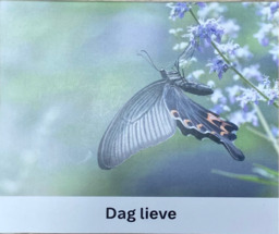 Rouwkaartje dag lieve (vlinder) 
