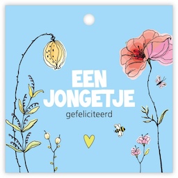 Kaartje Een jongetje gefeliciteerd