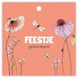 Feestje 