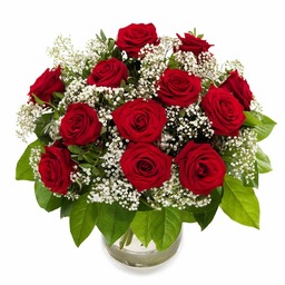 Grootbloemige rode rozen met gyps.