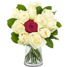 Grootbloemige witte rozen met 1 rode roos