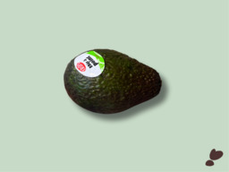 AVOCADO