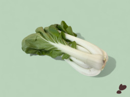 PAKSOI