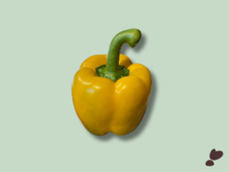 PAPRIKA GEEL