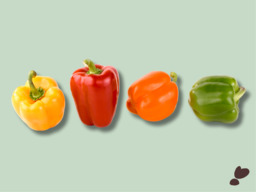 PAPRIKA MIX