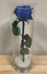  Cilinder blauwe roos medium  