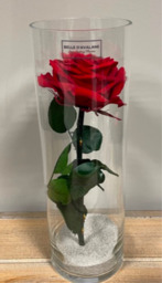  Cilinder rode roos medium 