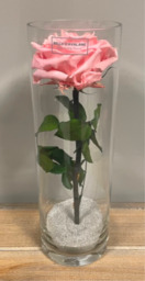  Cilinder roze roos medium