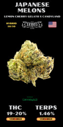 Japanese Melons (Heavy loads)