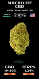 Mochi Lite CBD (kopie)