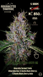 Amaretto Tarmac Auto