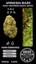Amnesia Haze