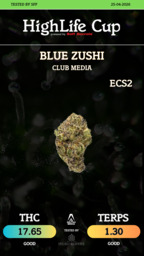 Blue Zushi