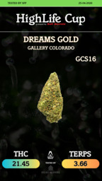 Dreams Gold