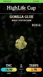 Gorilla Glue