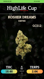 Kosher Dreams