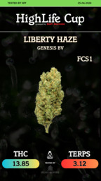 Liberty Haze